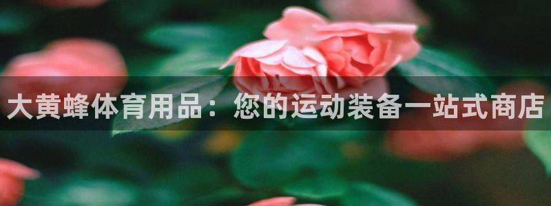 欧陆娱乐计划预测软件下载:大黄蜂体育用品:您的运动装备一站式