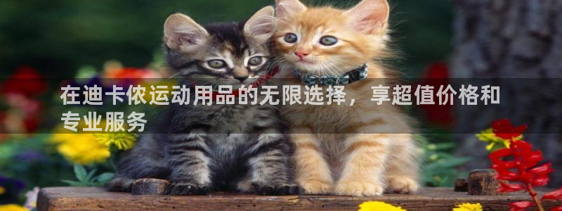 欧陆娱乐不让提现:在迪卡侬运动用品的无限选择,享超值价格和