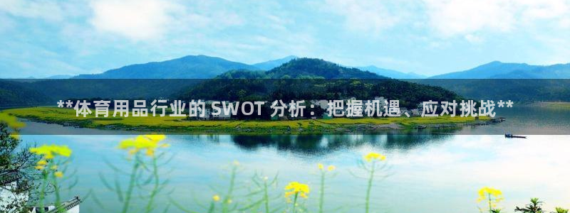 欧陆娱乐不让提现:**体育用品行业的 SWOT 分析:把握机
